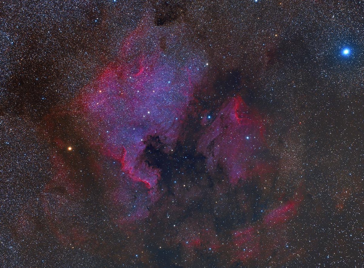 Jewels of Cygnus

1) Crop of Cygnus Wall
2) Crop of Pelican nebula
3) Crop of LDN935
4) North America and Pelican nebulae (actual FOV)

Total exposure - 4h40m
1h10m each in LRGB (10min exp)

FSQ106ED
f/3 red 
Chroma LRGB
AP Mach1

<a href="/QHYCCD/">QHYCCD</a> 
#Astrophotography