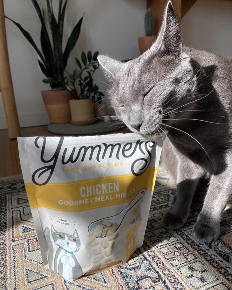 Yummerspets's tweet photo. When the Yummers arrives in the mail 🥰🐱 #yummerspets #CatsOfTwitter https://t.co/AtjqPuVkjg