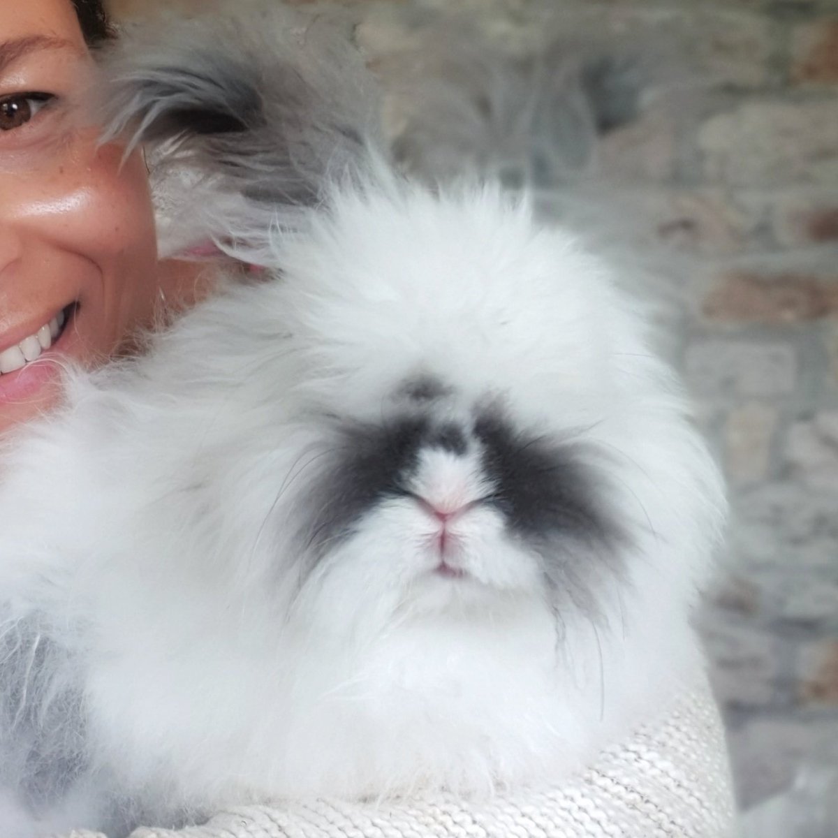 PippaPixley1's tweet photo. Would your setting like to meet Mr Mistachio the angora bunny and learn all about spinning with natural wool then do get in touch....
#spinning #angorawool #spinningwheel #workshop #carehome #buxton #derbyshire #nurture https://t.co/0fl33Y1Oli