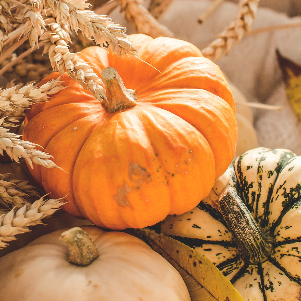 Esteban Paris USA tweet media