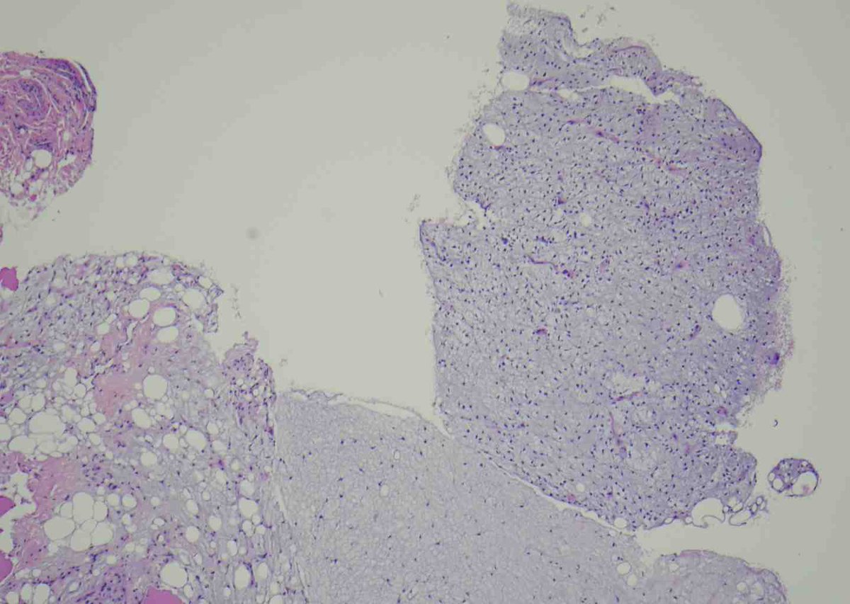 BST Path Education tweet media