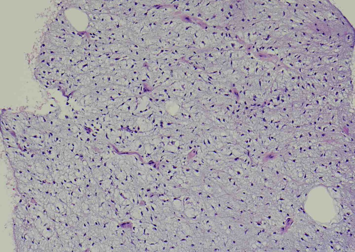 BST Path Education tweet media