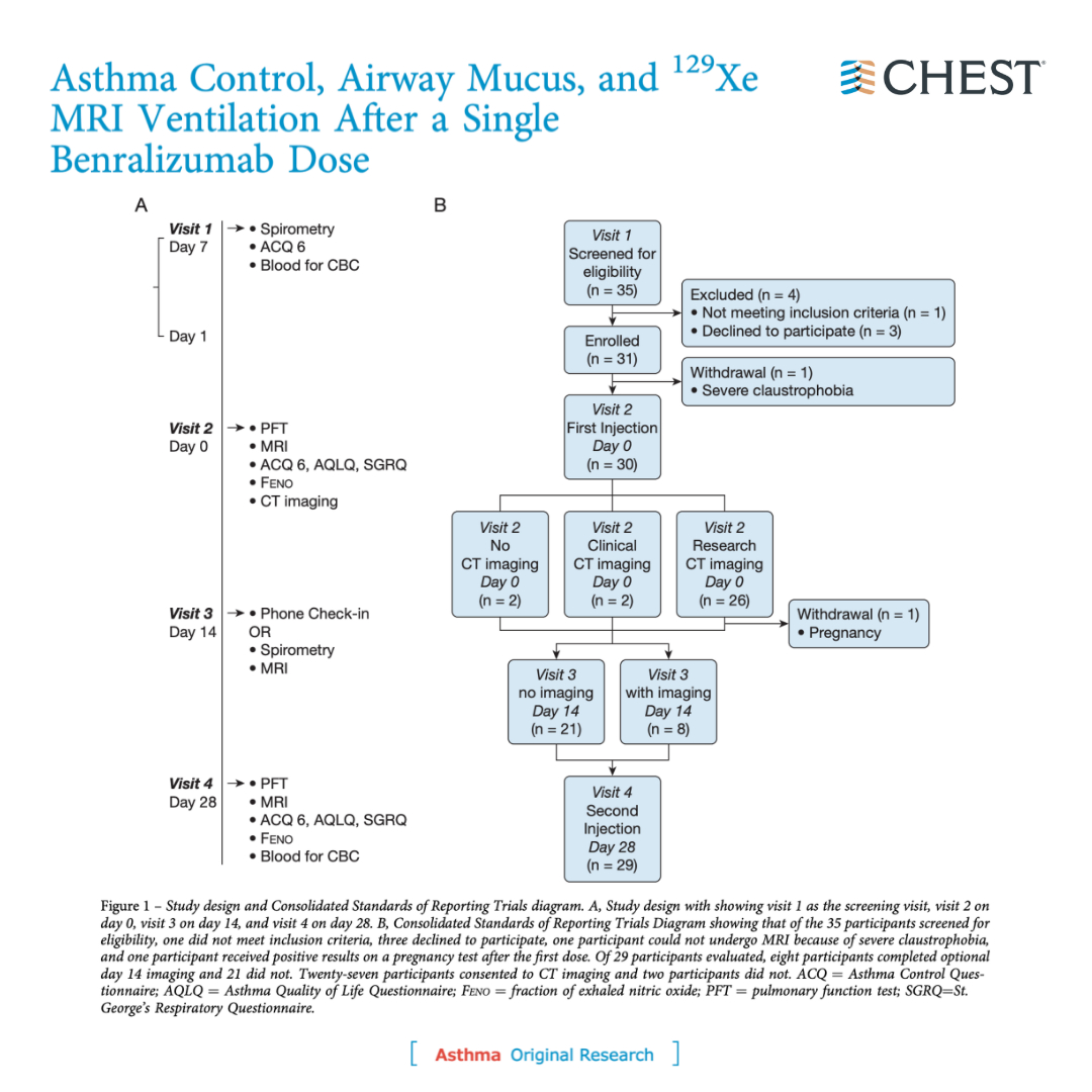 CHEST (@accpchest) on Twitter photo 28 days after a single dose of benralizumab in asthma, 129-Xe MRI detected significantly improved ventilation defect percentage. Read the full article in the September <a href="/journal_CHEST/">CHEST® Journal</a> issue: hubs.ly/Q01n6qPg0
#MedEd #MedTwitter 28 days after a single dose of benralizumab in asthma, 129-Xe MRI detected significantly improved ventilation defect percentage. Read the full article in the September <a href="/journal_CHEST/">CHEST® Journal</a> issue: hubs.ly/Q01n6qPg0
#MedEd #MedTwitter