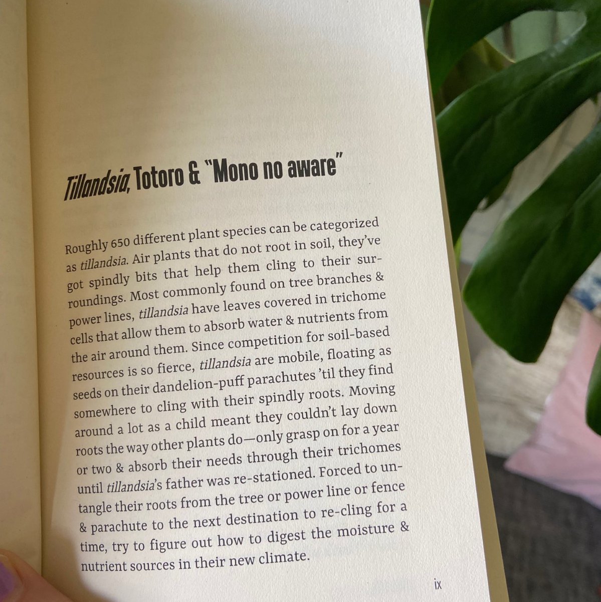 New Rivers Press tweet media