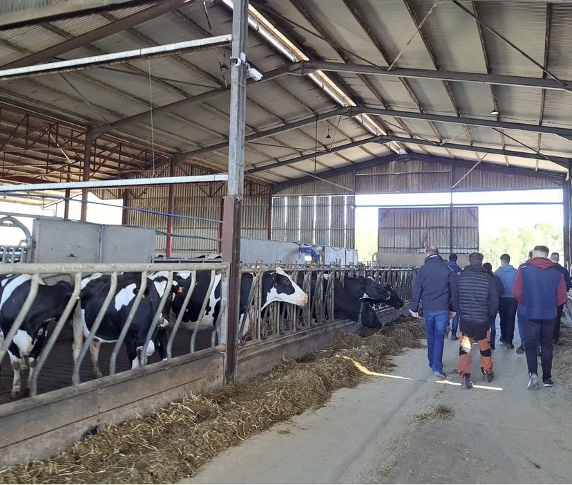 colaisteanatha's tweet photo. The Level 5 and Level 6 green cert class gropus visited JohnstownCastle Agricultural museum and Kehoe Farms this week.
Very interesting contrast from traditional farming to progressive modern methods. @WWETBofficial #greencert #Wexford #excellenceineducation π π π± https://t.co/10JQRfToSG