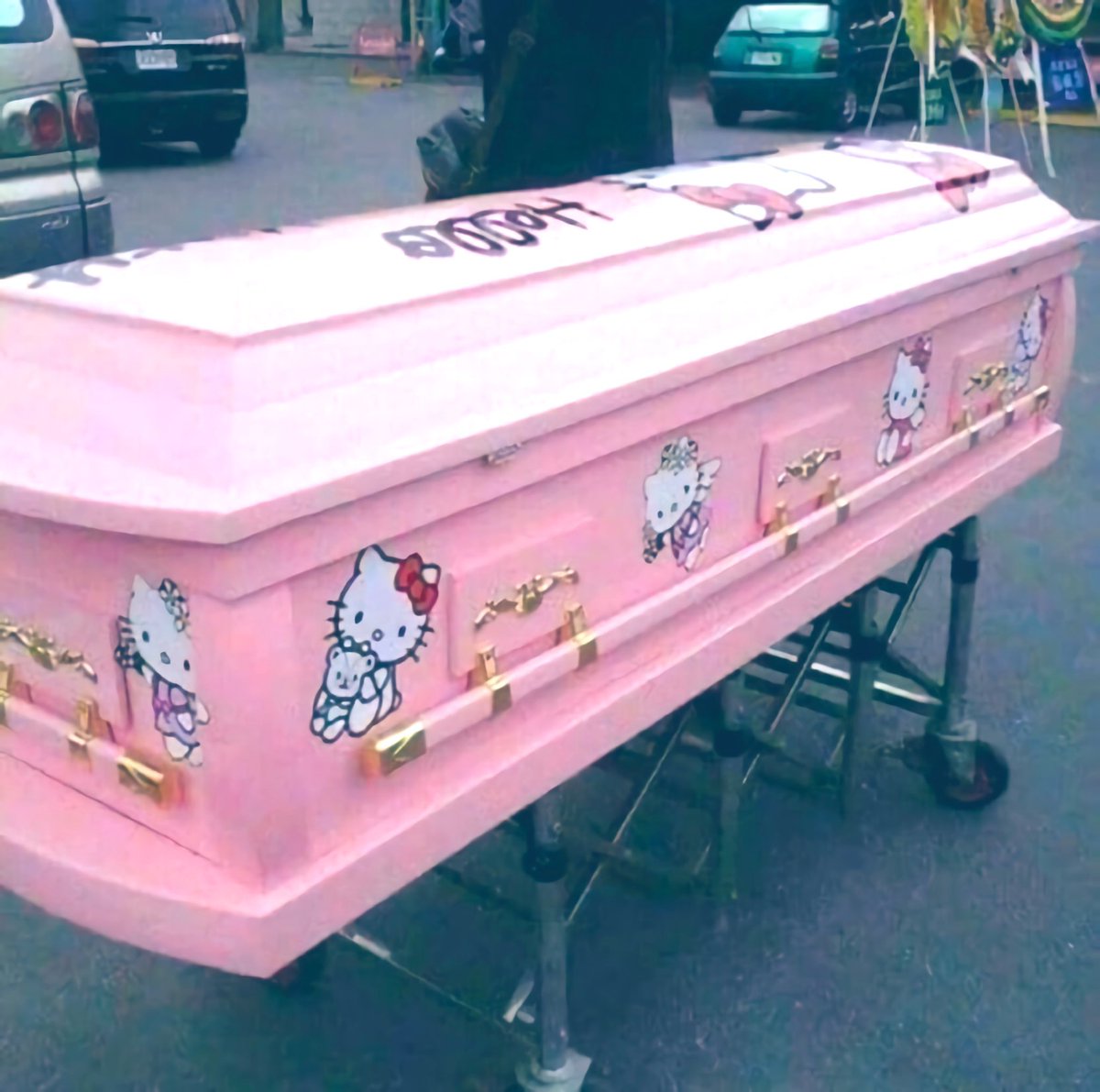 BlossomyBri's tweet photo. When I die, bury me with all of my plushies inside this Hello Kitty casket ♡ https://t.co/DTCcJPCrbY