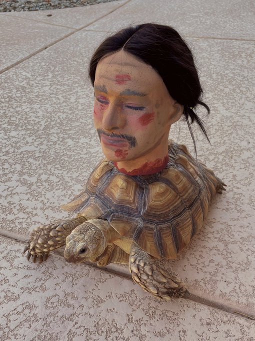 ⚠️GORE WARNING⚠️  Tiffany's first cosplay :) #BreakingBad https://t.co/t9RlDqfZrl<a href="/tag/breakingbad"class="tags">#BreakingBad</a>