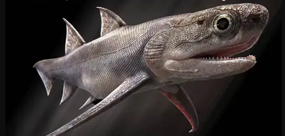 theasialive's tweet photo. Not monkeys, our real ancestor: Humans got teeth and jaws from fish, confirmed by 400 million-year-old fossil

 @theasialive 

https://t.co/UZGLeFNrnM https://t.co/CQwMYsKISd