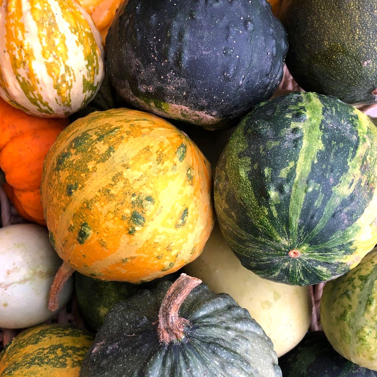 FreshOnQ's tweet photo. Three Markets Left! - https://t.co/bAFdtgXX9s

#texastwpfm #freshonQ #MIFarmersMarkets #PureMichigan #SaturdayVibes #SupportLocal #EatFresh #TexasCorners https://t.co/UZxpKBngI4