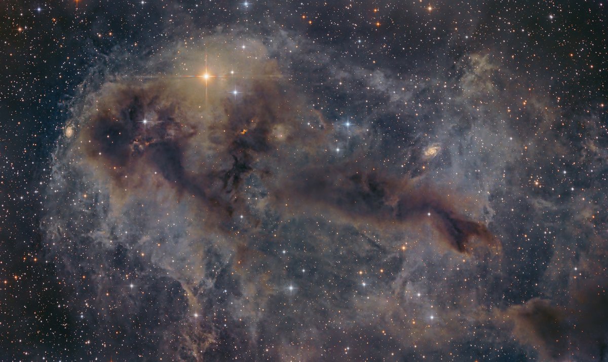 TrisCampbell's tweet photo. LDN 1251 is Cepheus taken with a 10" Newtonian over two nights (12hrs).  #astrophotography #astronomy https://t.co/SnYwnXyMan
