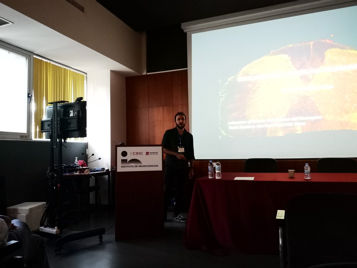 NeuroAlc's tweet photo. The stage is now for Pablo Hernández @pablodezo from @NeuroAlc to talk about the dissection of spinal circuits for inflammatory pain https://t.co/QhUiP9fi4X