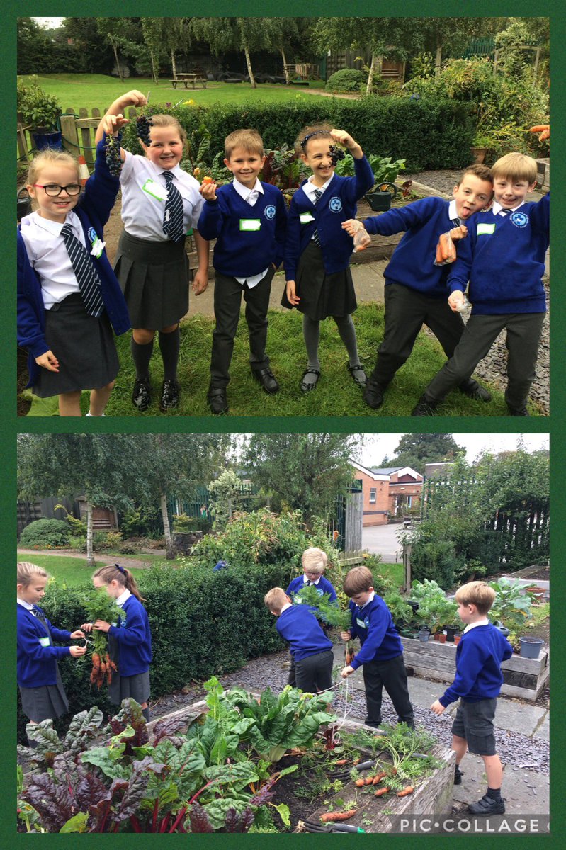 halewoodcofe's tweet photo. The children have loved getting outdoors and working on the allotments over the past few weeksβ¦ they even managed to harvest some vegetables they had grown. π₯ #OutdoorLearning #Sustainability #GrowToLearn https://t.co/5muOP7TaDY