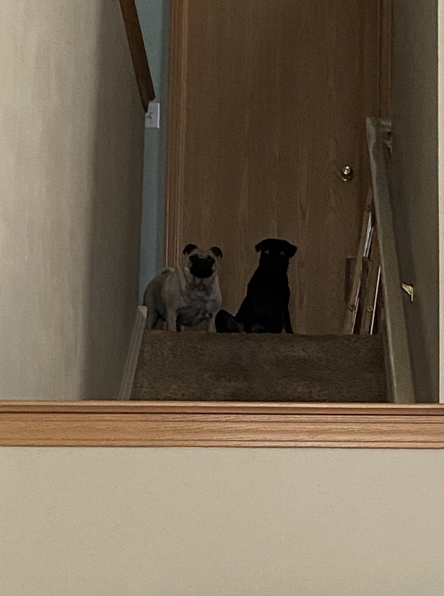 Kára &amp; Katie😄