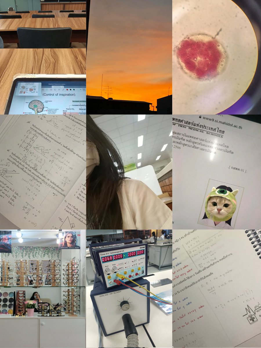 pxxmd's tweet photo. Recap September: เหนื่อยตั้งแต่วันที่1ยันวันที่30😂 ช่วงอาทิตย์สุดท้ายเดบิ้วเป็นวัยรุ่นตี4เปิดไฟแข่งกับตึกข้างๆไม่ใช่ตื่นเช้าแต่นุยังไม่นอนค่าพรี่ๆ  

#stdwpxxmd https://t.co/NyC9hzZYeO
