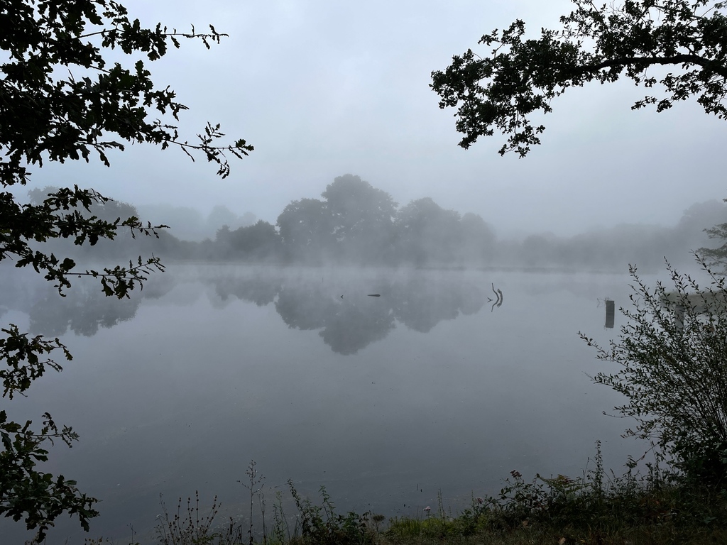 villedieulake's tweet photo. Look how mysterious the Lake looked this morning! The colder nights have started drawing in... This is such a beautiful place and we are so lucky to call it home! 🎣
#villedieulake #fishinginfrance #fishoftheweek #carpfishing #lakelifebestlife #mirrorcarp #commoncarp #carpangler https://t.co/CKGPs8Gjol