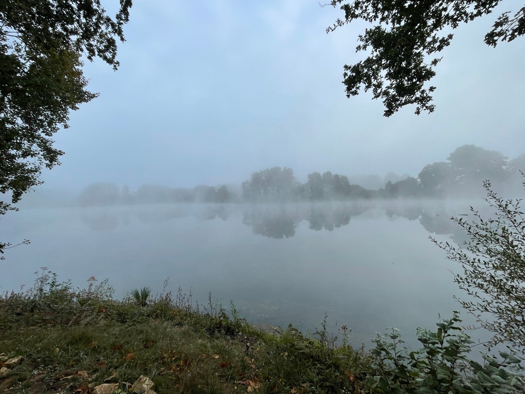 villedieulake's tweet photo. Look how mysterious the Lake looked this morning! The colder nights have started drawing in... This is such a beautiful place and we are so lucky to call it home! 🎣
#villedieulake #fishinginfrance #fishoftheweek #carpfishing #lakelifebestlife #mirrorcarp #commoncarp #carpangler https://t.co/CKGPs8Gjol