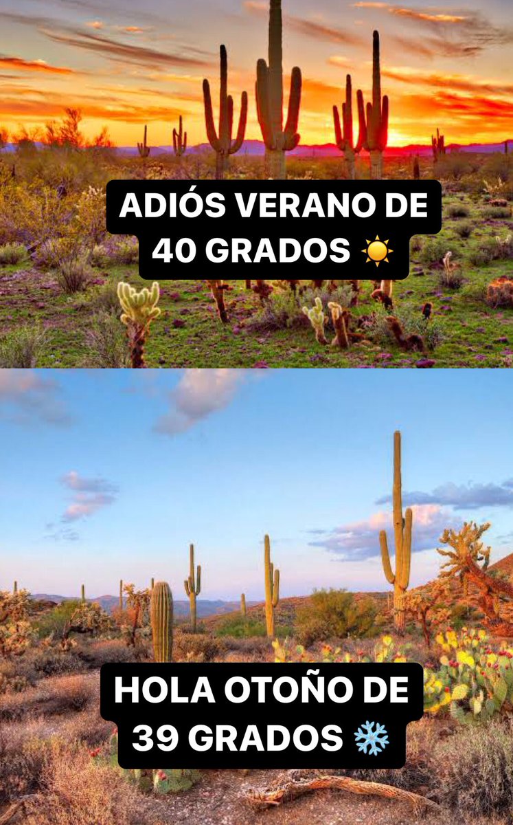 CosasDeNortenos's tweet photo. https://t.co/w5Ajiz4NN6
