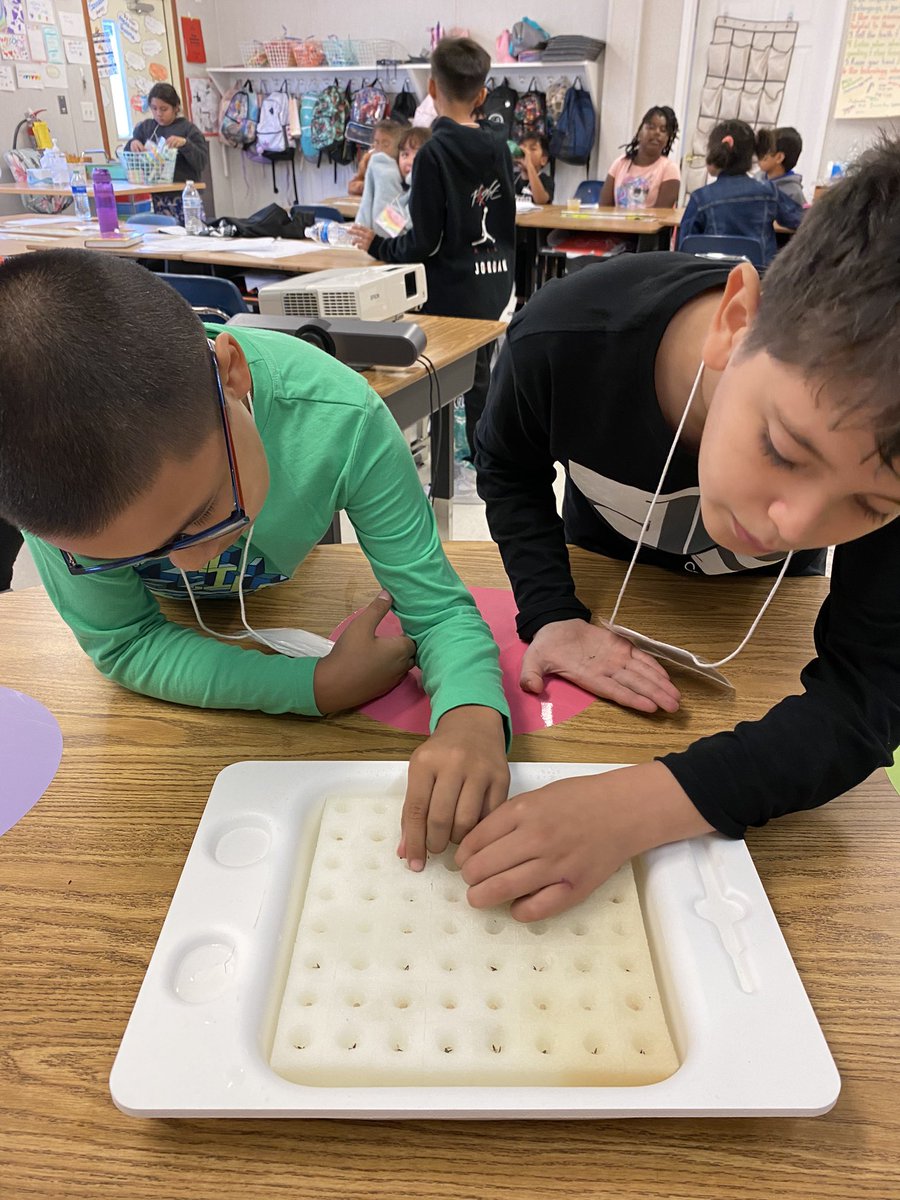 HyblaValley4th's tweet photo. Fourth graders helping prepare our lettuce seeds. These plants will eventually go in our Aquaponics!! @HyblaValleyES #hyblavalleyhuskies https://t.co/1GViRM90S1