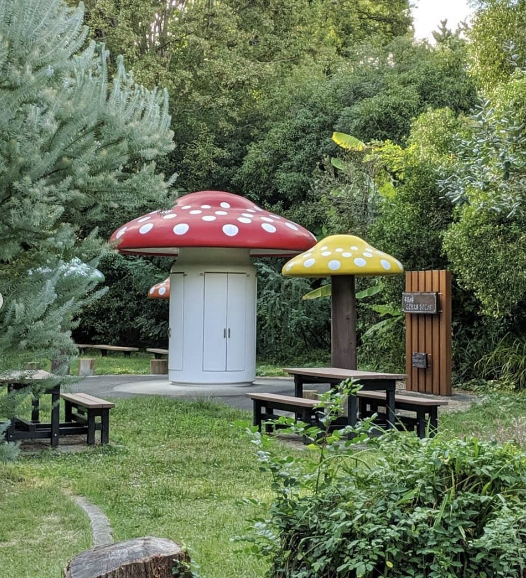 presentcorrect's tweet photo. Mini mushroom libraries, Kyoto.
https://t.co/FCszZHMaBj https://t.co/CXhXEPcMeb
