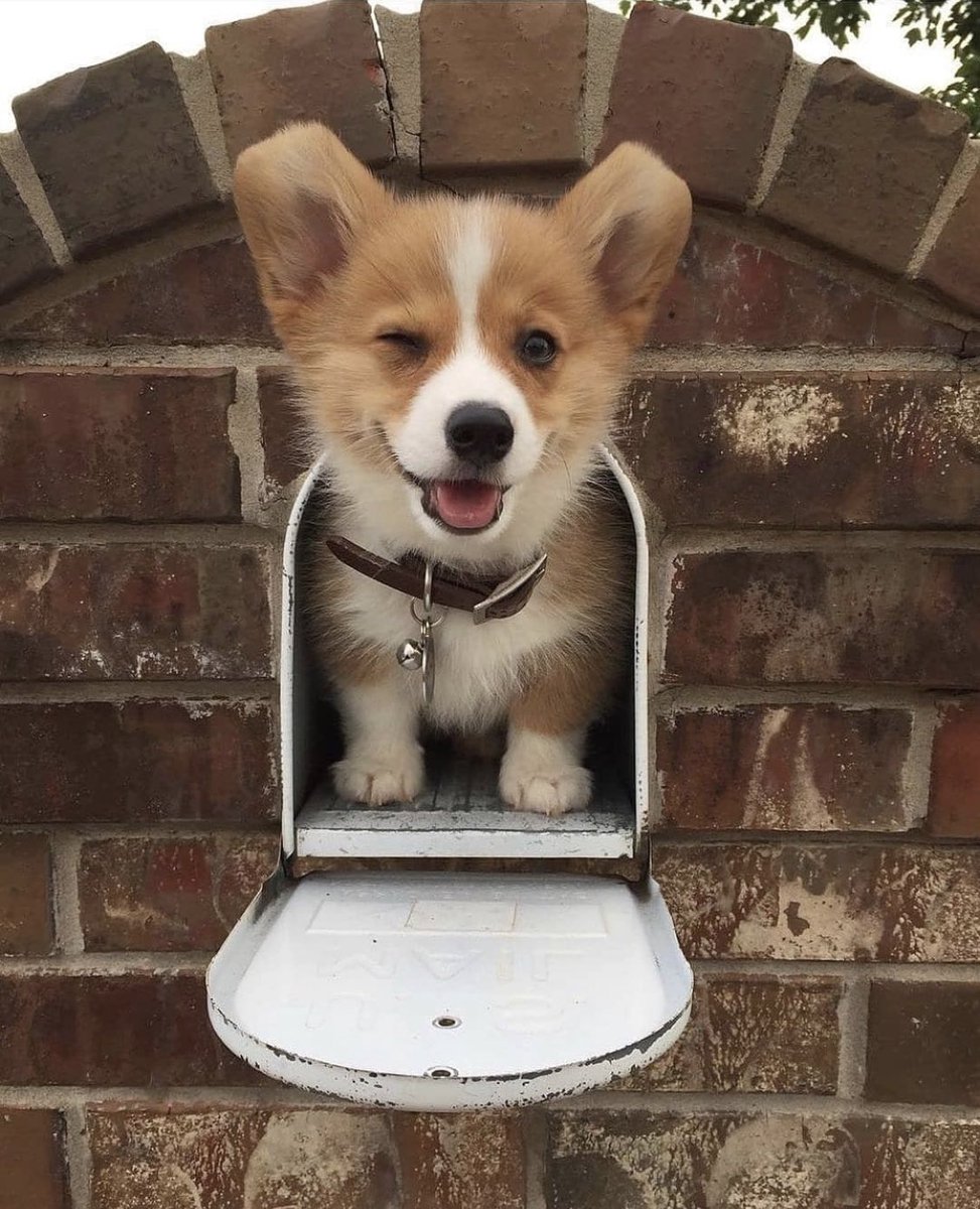 special delivery, it’s unconditional love