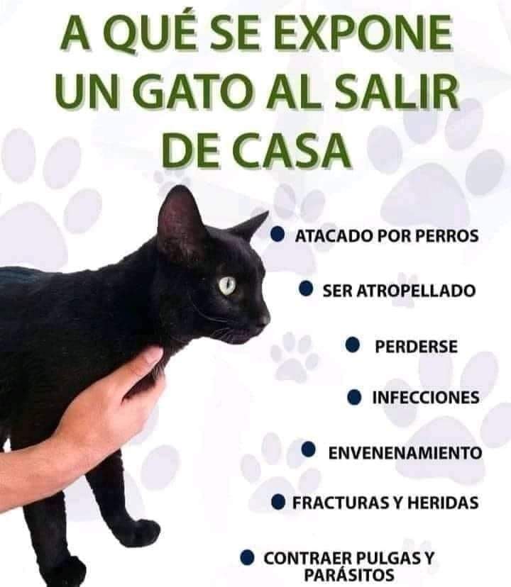 CBALloseta's tweet photo. https://t.co/8tykqJ1H8N