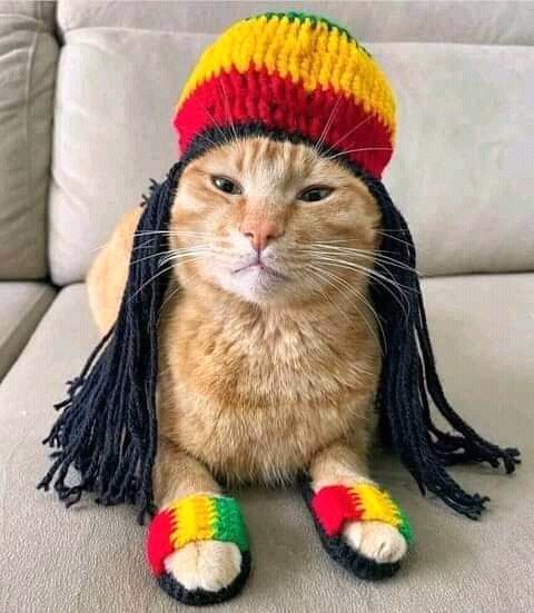 JeebsonRas's tweet photo. @freshfmibadan @geeyute @iamdoncarta @djbrightfresh @fawtchune Play us the sweet reggae vibe mi selecta https://t.co/UKAYt58i0o