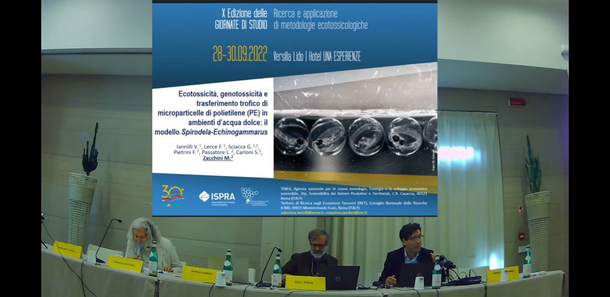 MaxZac64's tweet photo. Talking about #ecotoxicity #genotoxicity #spirodela #gammarids #microplastics #plant #lemna at the X Giornate di Ecotossicologia organised by @ISPRA_Press @Cnr_Iret @CNRDTA @CNRsocial_ @ENEAOfficial https://t.co/eMF8ZQJOnb