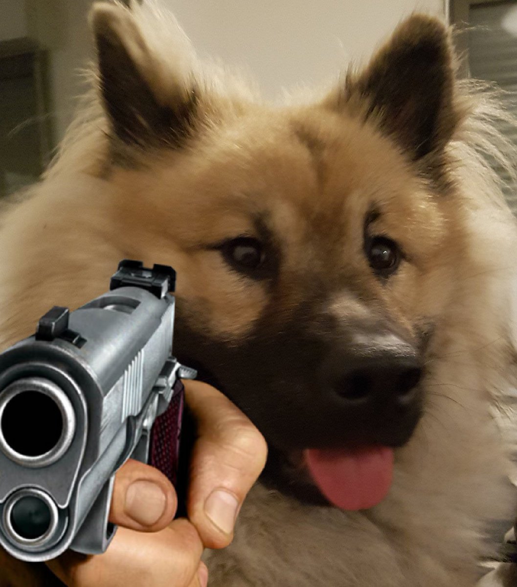 Shisheyu tweet media