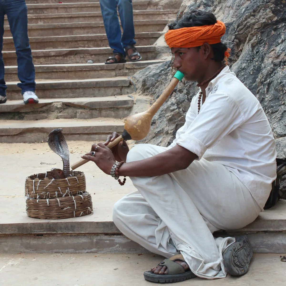 ci_animissions's tweet photo. Yes, there really are snake charmers in India. We saw this guy while on outreach to Rajasthan to record voices for our film, Coconuts.
https://t.co/PIPk4iNhgR #createanimissions #outreach #media #mediaoutreach #filmmaking https://t.co/egzqee42LZ