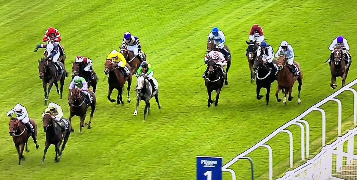 amajox's tweet photo. Congrats #champ @amajox @RossBirkett WINS @Ascot @peroniuk ๐ป@Peroni_Global ๐บ#FinalWatch for #WilliamStone #15ran @AliceKeighley_ gallant 2nd @vic_malzard17 3rd #topride #topjock now leads gents for championship๐๐๐๐๐ #comeracing #loveAscot โค๏ธ๐๐ฌ๐ง https://t.co/bQDRxOGVh4