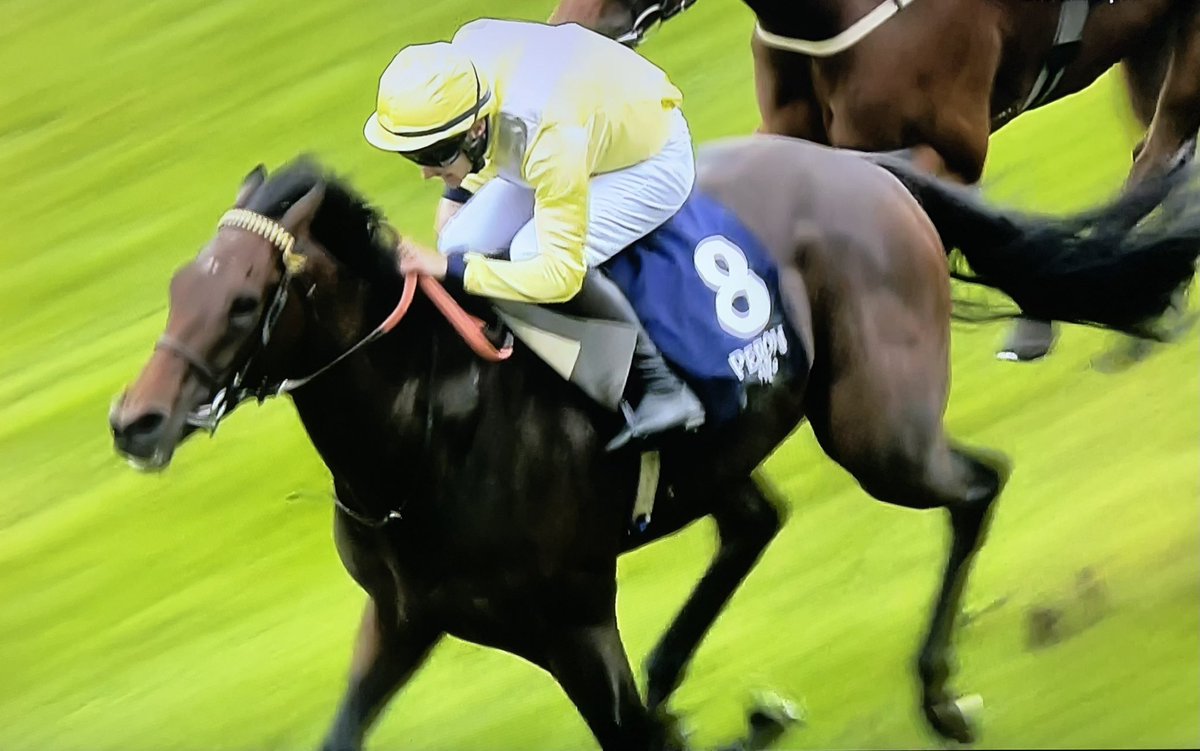 amajox's tweet photo. Congrats #champ @amajox @RossBirkett WINS @Ascot @peroniuk ๐ป@Peroni_Global ๐บ#FinalWatch for #WilliamStone #15ran @AliceKeighley_ gallant 2nd @vic_malzard17 3rd #topride #topjock now leads gents for championship๐๐๐๐๐ #comeracing #loveAscot โค๏ธ๐๐ฌ๐ง https://t.co/bQDRxOGVh4