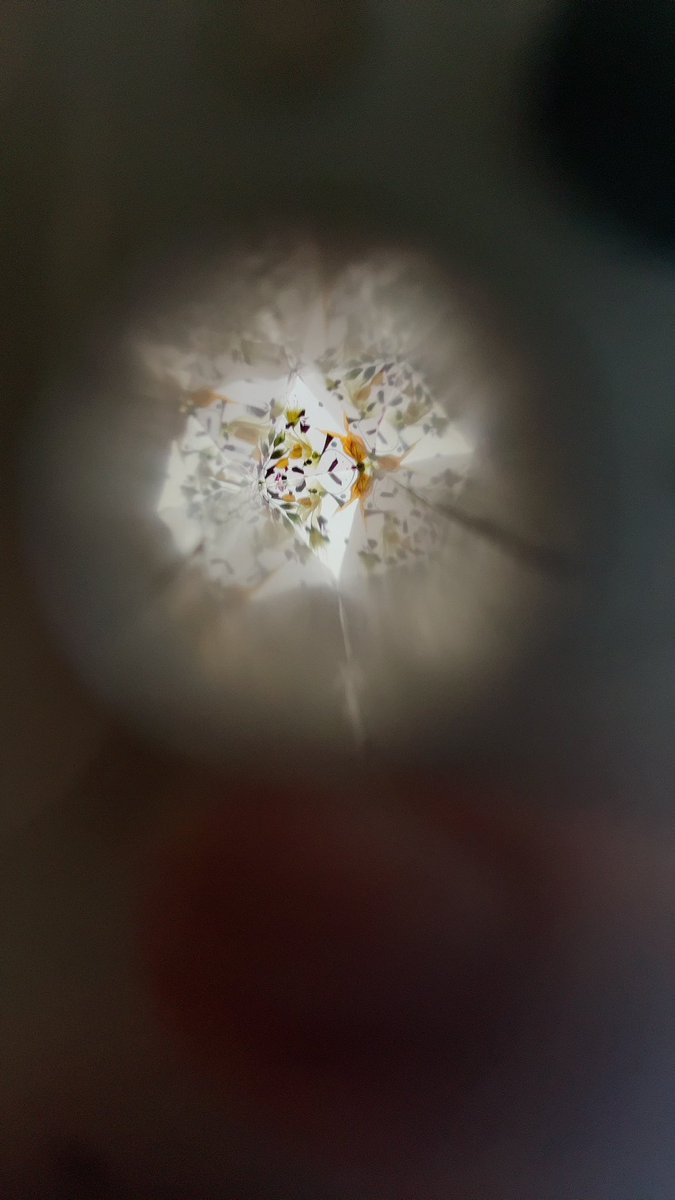 nami050743's tweet photo. 押し花万華鏡試作品

 #押し花万華鏡
 #押し花インストラクター https://t.co/vSfi6ttpqf