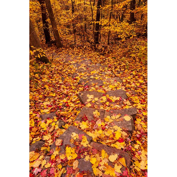 Matthew J. Kirsch Photography tweet media