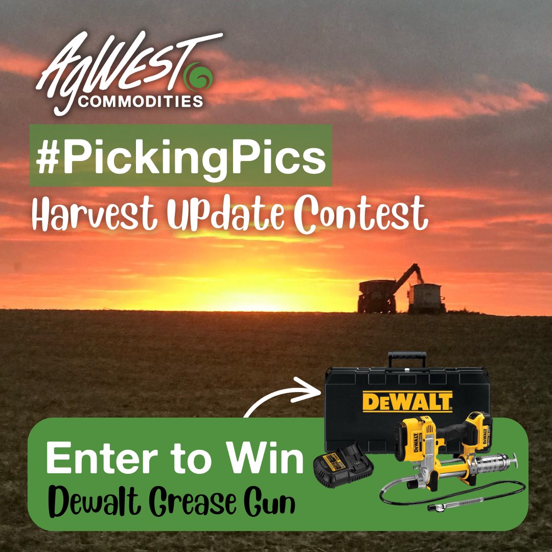 AgWest's tweet photo. TO ENTER: 
1. Take #PickingPics Harvest Picture - 2x entry for AgWest gear!

2. TWEET your Harvest Update using the hashtag #PickingPics 
@AgWest

3. Be Entered to Win a Dewalt Grease Gun! Winner drawn from ALL entries on 11/01/22!

#harvest2022 #harvest22 #agtwitter https://t.co/VpYv2CD5b8