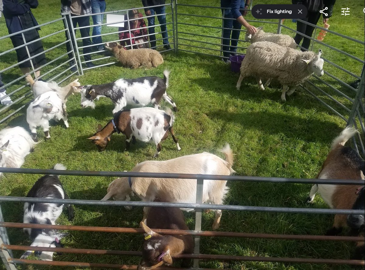 osamasmkhan's tweet photo. It’s all about hearts ❤️ &amp; minds 🧠, a strong sense of belonging, when it comes to learning. At @UniOfSurrey, Prof @emmamayhew9, organised Sir Whippy ice cream and animal farm to welcome freshers and to calm their nerves as they settled in. @uniofsurreyVC @SurreyIoE https://t.co/AOE13mIucD