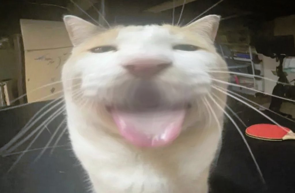 i forgot about my private account that shit was so cringe