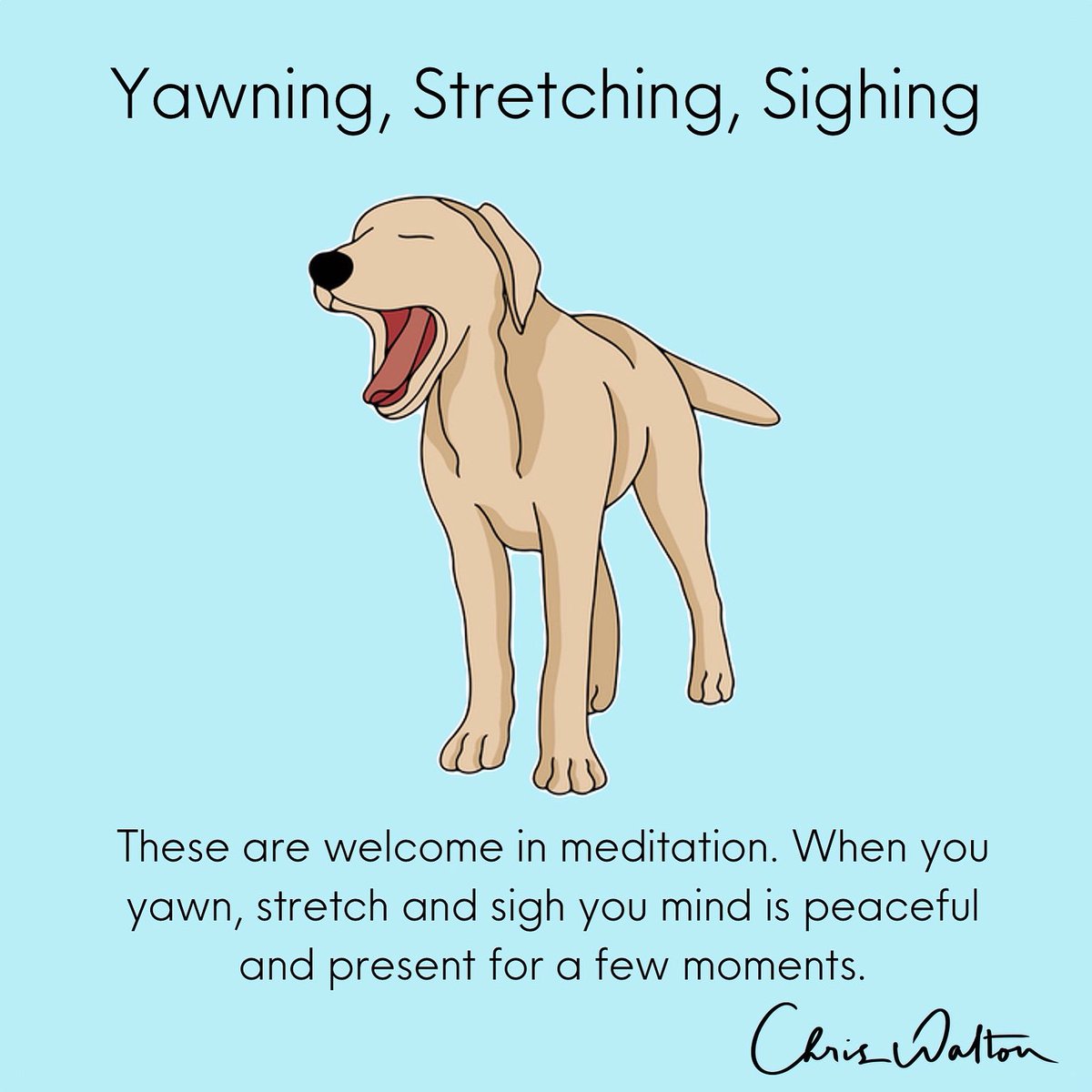 All encouraged in my class and courses.. lots of sighing and grounding.. coming out of the head back into the body.. 
#mindfulness #relaxation #peace
