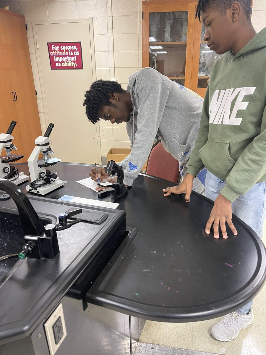 Louisville High School tweet media