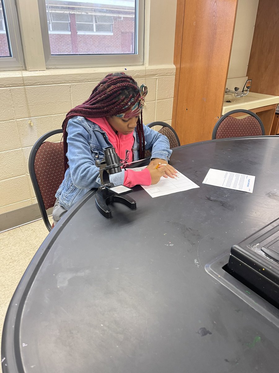 Louisville High School tweet media