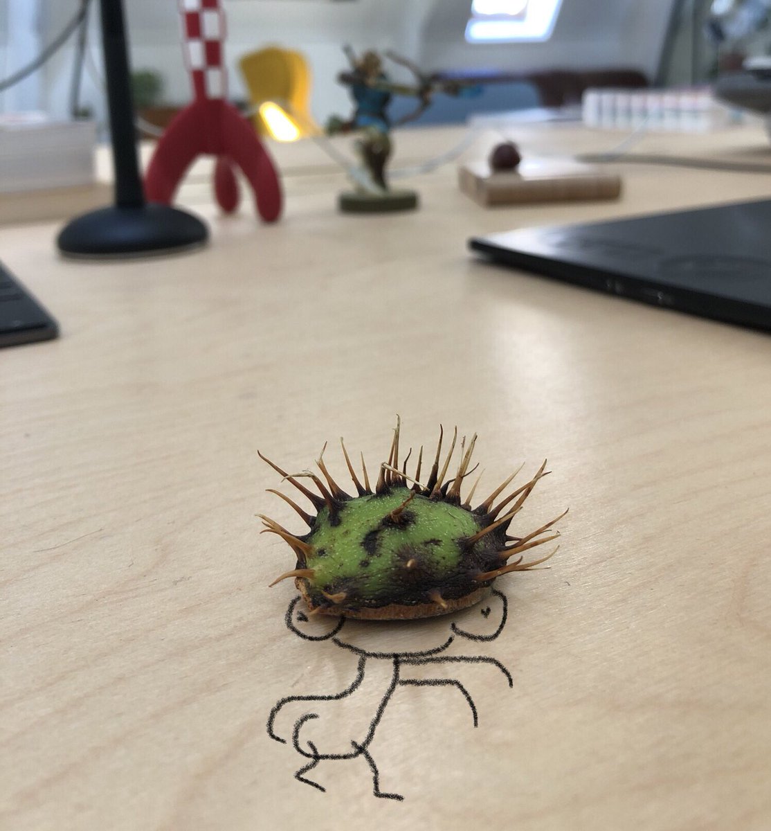 Anne Mérat (@anne_merat) on Twitter photo 