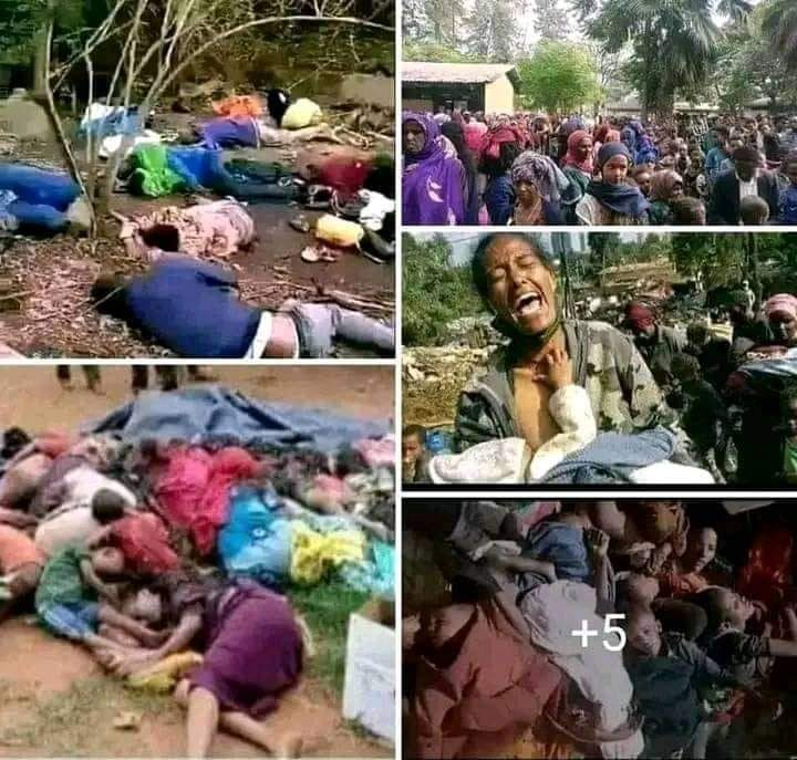 This is the darkest chapter in z history of #Oromo People. Unabated massacres of ethnic #Amharas is now the symbol of Oromia regional state in 🇪🇹. For decades to come z name Oromo &amp; Oromia region (if the region continues to exist) will always be associated with #AmharaGenocide.
