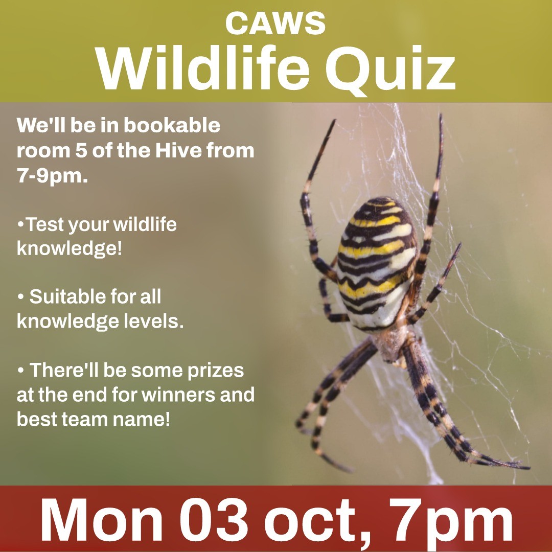 ueacaws's tweet photo. Test your wildlife knowledge! You can come in a group, or find a team when you arrive, we recommend teams of three or four. We'll be in bookable room 5 of the Hive from 7-9pm.

This wildlife quiz is suitable for all knowledge levels, and there'll be some prizes at the end for win https://t.co/tA0JfEK8I0