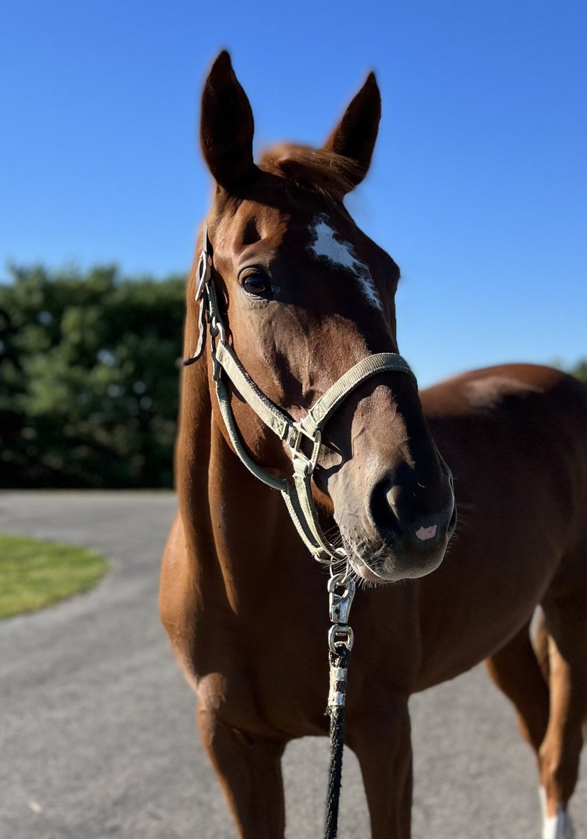 My new baby! She will be here just in time to be part of the wedding 💗