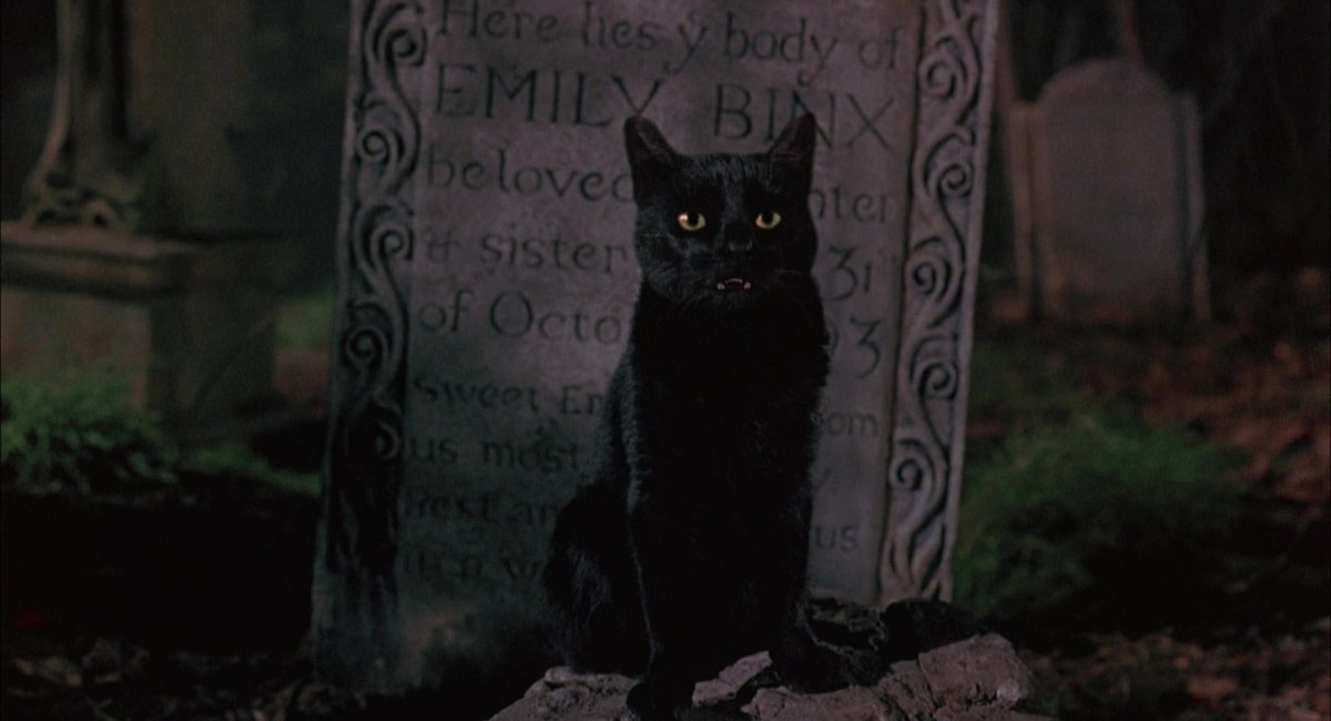CINEMAGEMS's tweet photo. Hocus Pocus (1993) https://t.co/7DTa2w3x7n