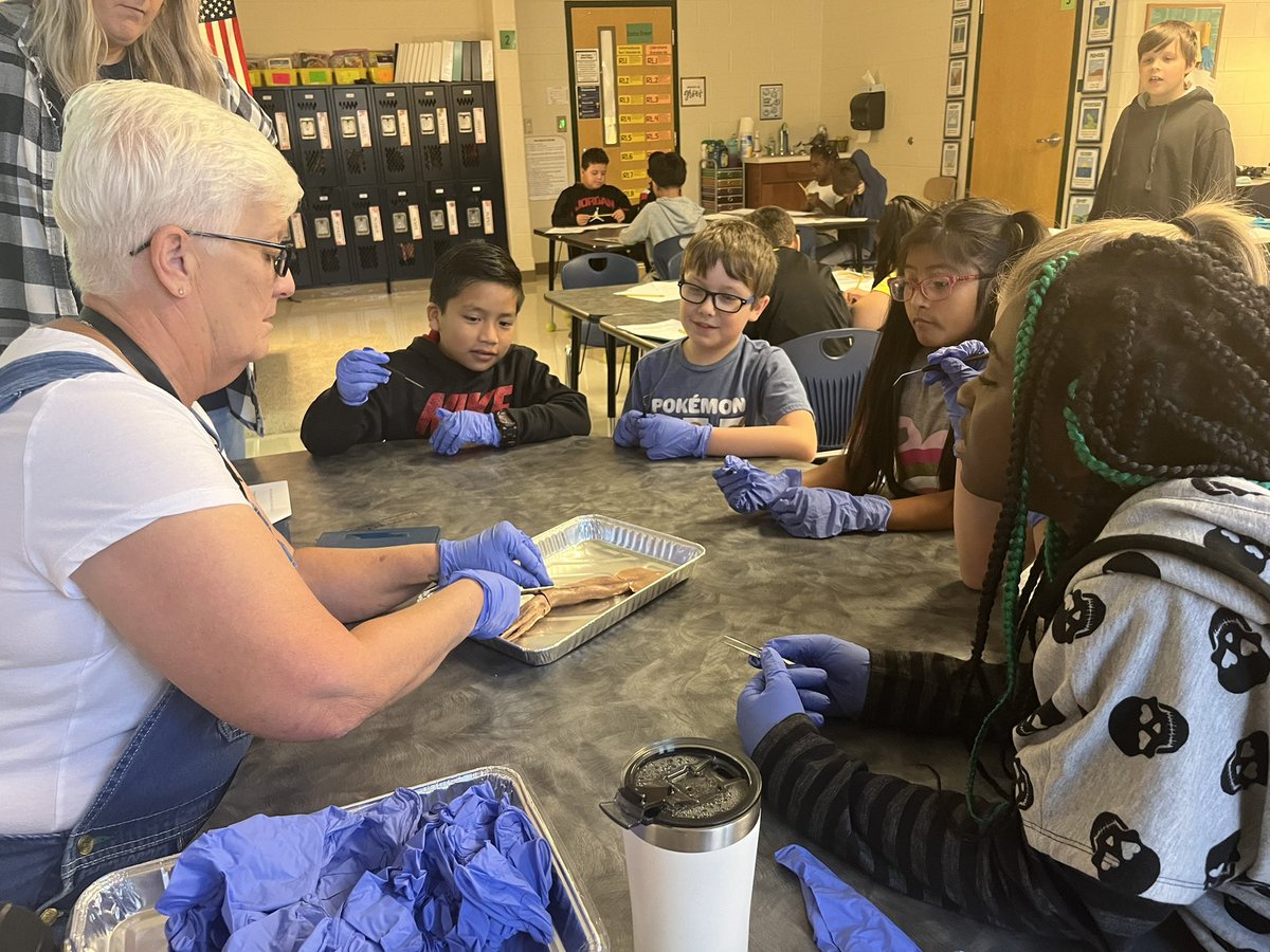 Did you know a squid has a beak? I didn’t. Thankfully, we have awesome teachers that I learn something new from everyday! Our kids are so lucky to have these amazing educators in their lives. #SumnerAchieves <a href="/VSEsuperstars1/">VSE@superstars</a> <a href="/Thurman7Jessica/">Jessica Adams</a> <a href="/jshelton1984/">Joshua Shelton, Ed.D.</a> <a href="/bussery17/">Brittany Ussery</a>