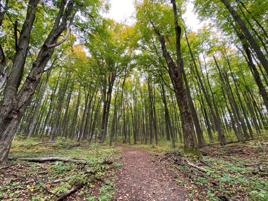 Ontario Parks tweet media