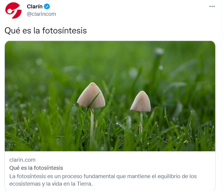Intibonomo's tweet photo. Grafican la fotosíntesis con hongos. 
Sumen editores que sepan de ambiente. https://t.co/3XXznyWQGx