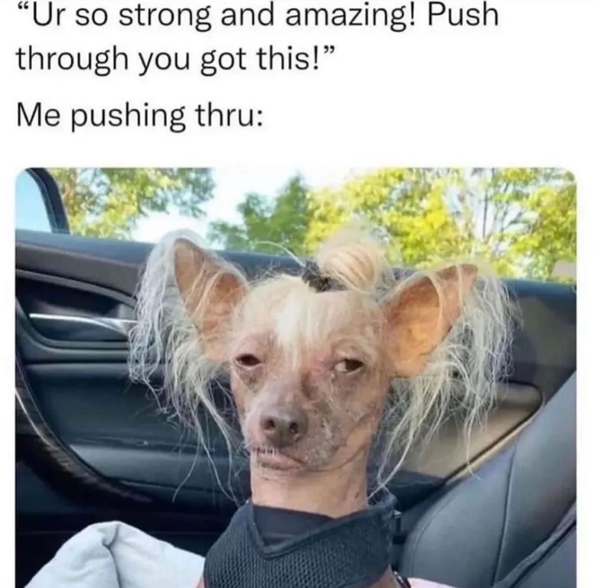 GirlwithMeme's tweet photo. https://t.co/bTJ4hwtK7A