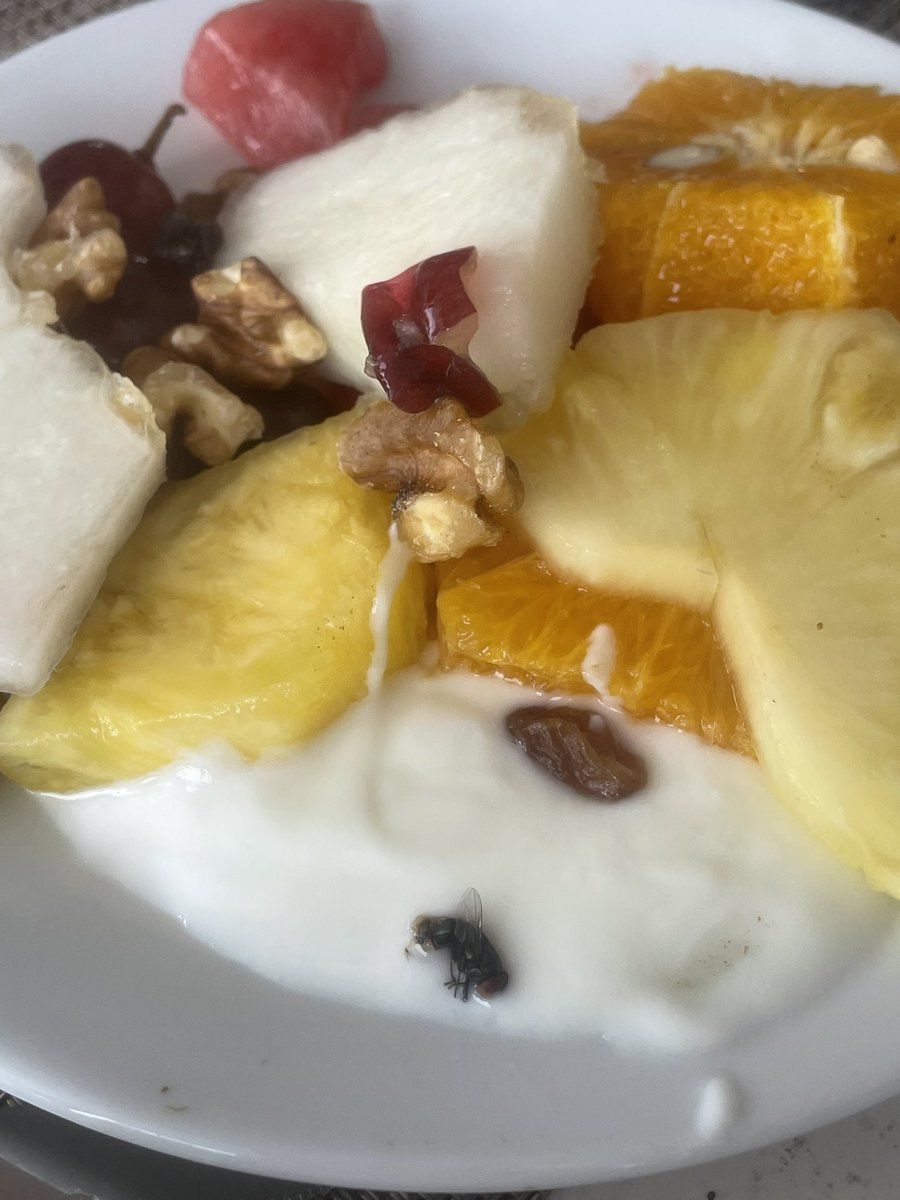 nick_rowley86's tweet photo. @TUIUK is there any chance of a response to my complaint submitted 1 September? This is in relation to my stay at @RiuHoteles Riu Palace Santa Maria and suffering food poisoning due to the sheer lack of food hygiene at this place! I cannot see why this hotel has ‘palace’ status! https://t.co/fNNfs44wH4