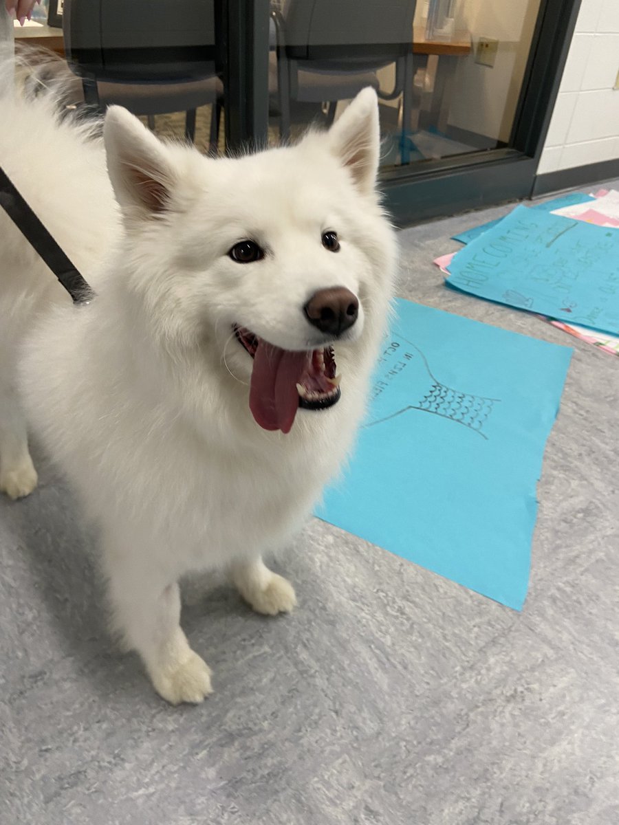 <a href="/NovaBearLZHS/">Nova Bear</a> is hanging up Homecoming posters! Get your tickets now!! <a href="/SrtaStronsky/">Cara Stronsky</a>